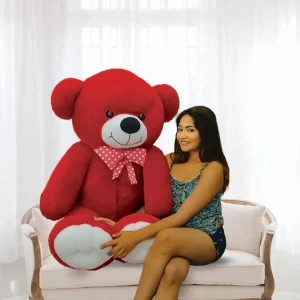 5 Feet Red Colour Soft Teddy