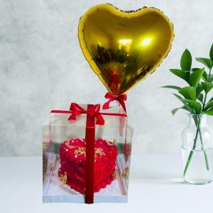 Clear Box Cake 03